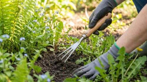 Jak ušetřit na odplevelení zahrady? Tento nástroj je teď na Amazonu za skvělou cenu